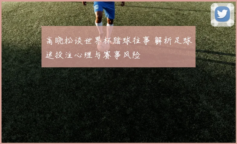 高晓松谈世界杯赌球往事 解析足球迷投注心理与赛事风险