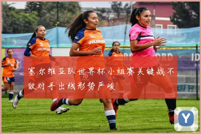 塞尔维亚队世界杯小组赛关键战不敌对手出线形势严峻