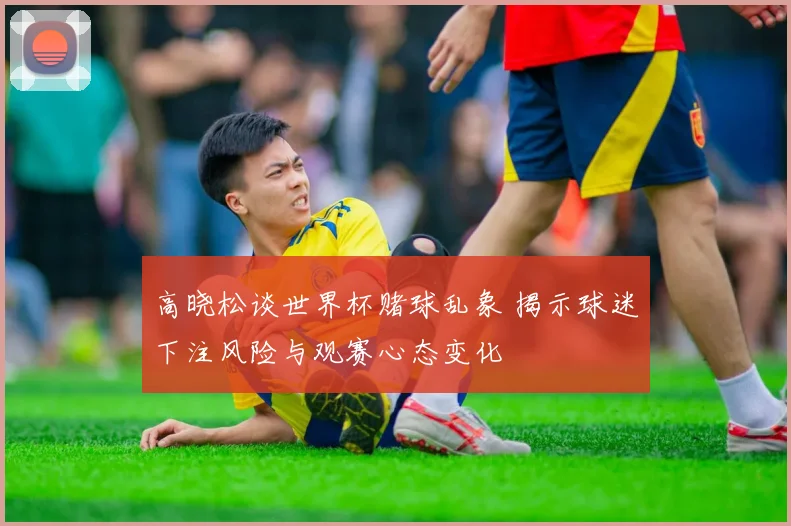 高晓松谈世界杯赌球乱象 揭示球迷下注风险与观赛心态变化