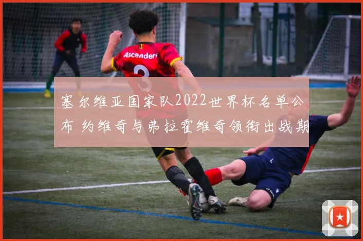 塞尔维亚国家队2022世界杯名单公布 约维奇与弗拉霍维奇领衔出战期待冲击淘汰赛