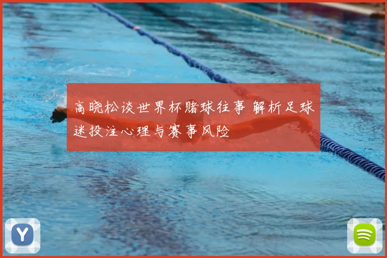 高晓松谈世界杯赌球往事 解析足球迷投注心理与赛事风险