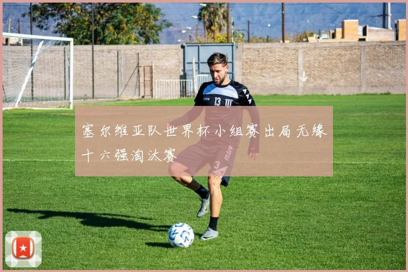 塞尔维亚队世界杯小组赛出局无缘十六强淘汰赛