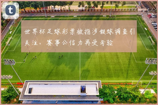 世界杯足球彩票被指涉假球调查引关注，赛事公信力再受考验